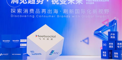 新品類、新渠道、新技術(shù) 飛書深諾沈晨崗談出海品牌如何借數(shù)字技術(shù)服務(wù)開啟新故事